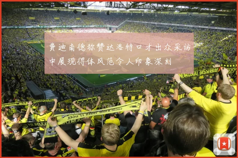 费迪南德称赞达洛特口才出众采访中展现得体风范令人印象深刻