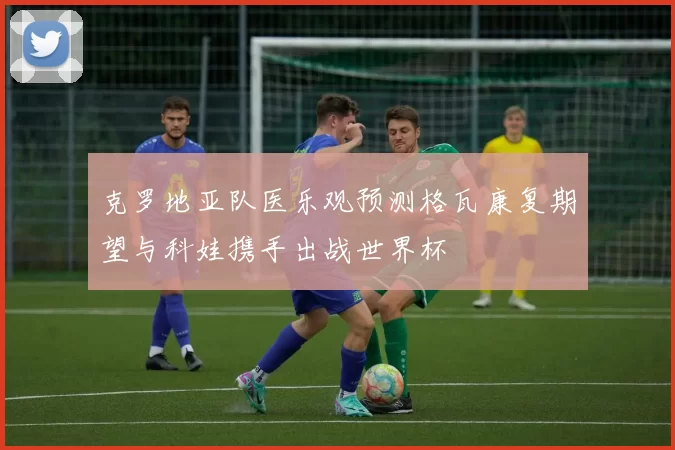 克罗地亚队医乐观预测格瓦康复期望与科娃携手出战世界杯